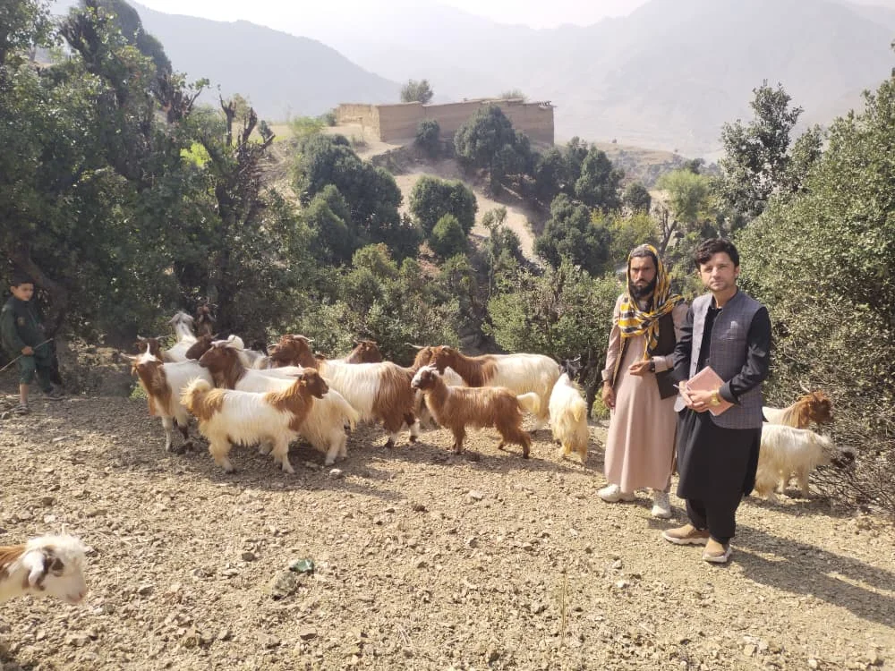 ریشه در زندگی روستایی
